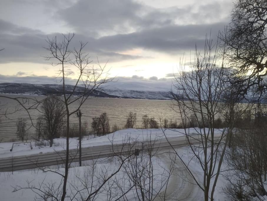 Apartment In Tromso With Sea And Mountain View Buitenkant foto